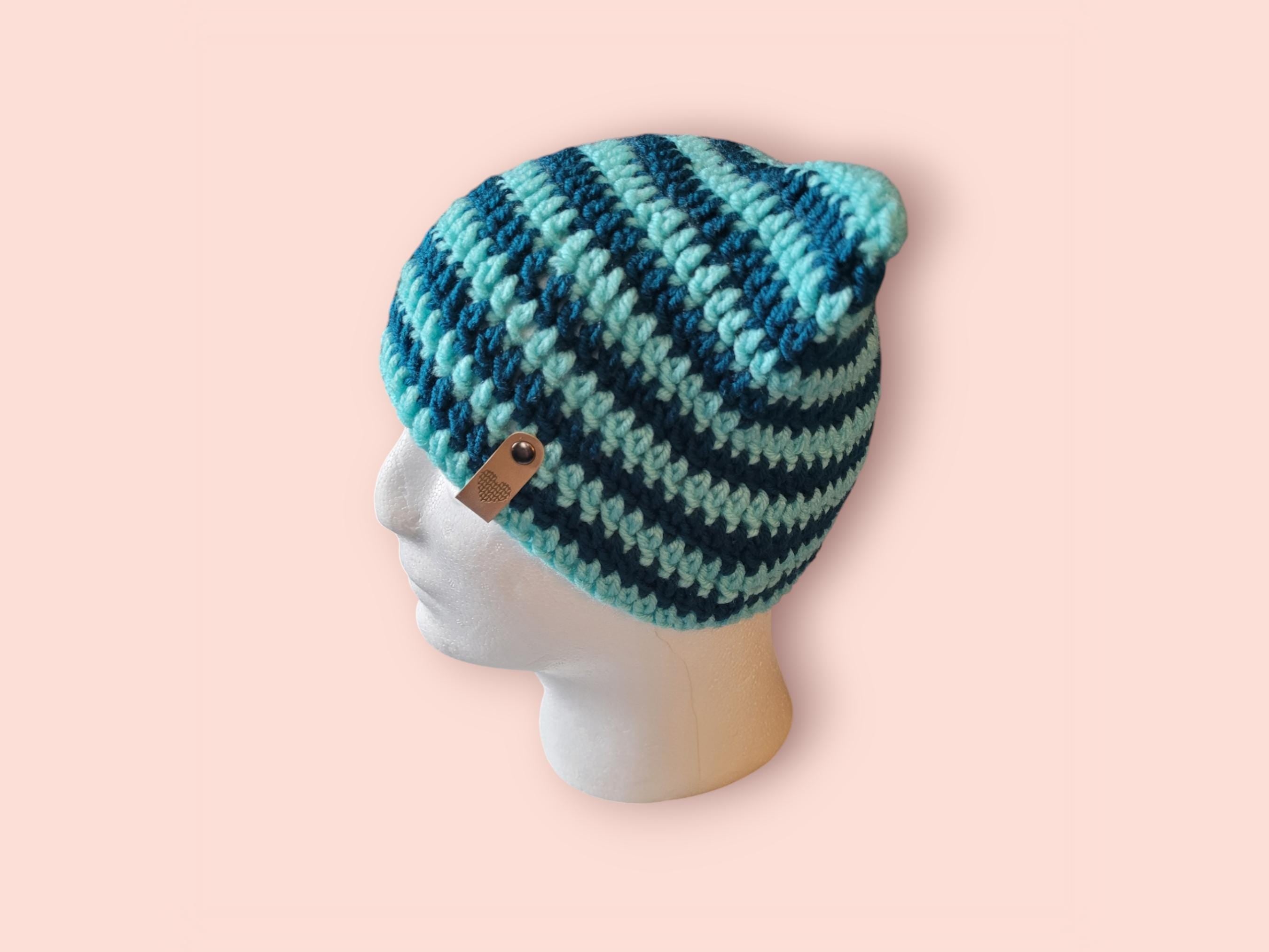 teal aqua cat beanie cat hat