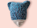 cat beanie hat blue marble